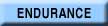 endurance button